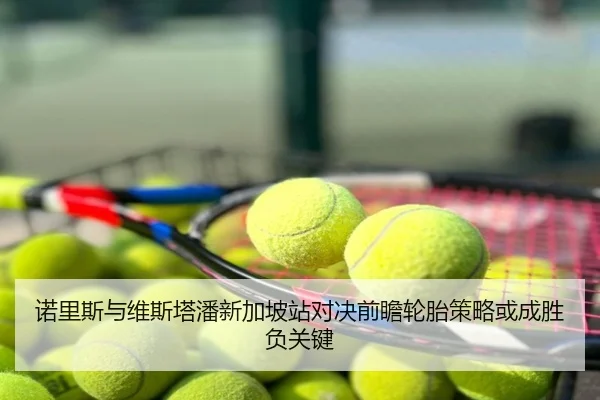 诺里斯与维斯塔潘新加坡站对决前瞻轮胎策略或成胜负关键