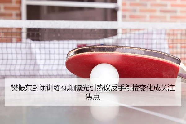 樊振东封闭训练视频曝光引热议反手衔接变化成关注焦点