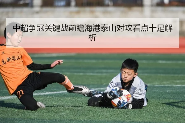 中超争冠关键战前瞻海港泰山对攻看点十足解析