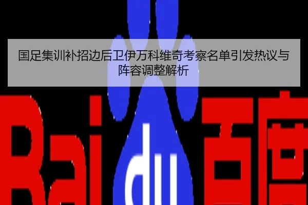国足集训补招边后卫伊万科维奇考察名单引发热议与阵容调整解析